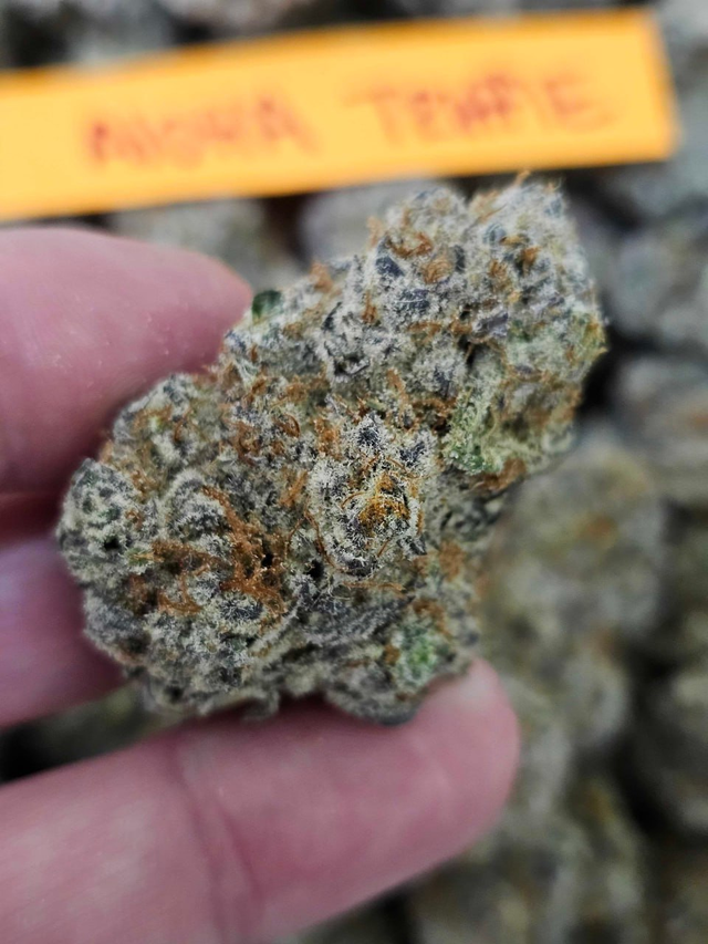 Aloha Truffle